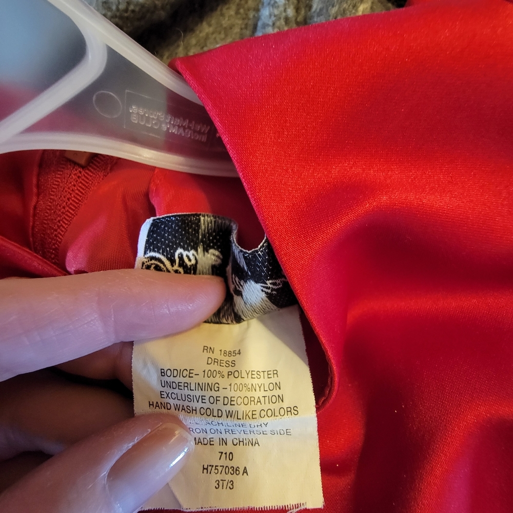 Rare Editions holiday dress 3